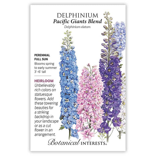 Delphinium seeds 'Pacific Giant Blend'