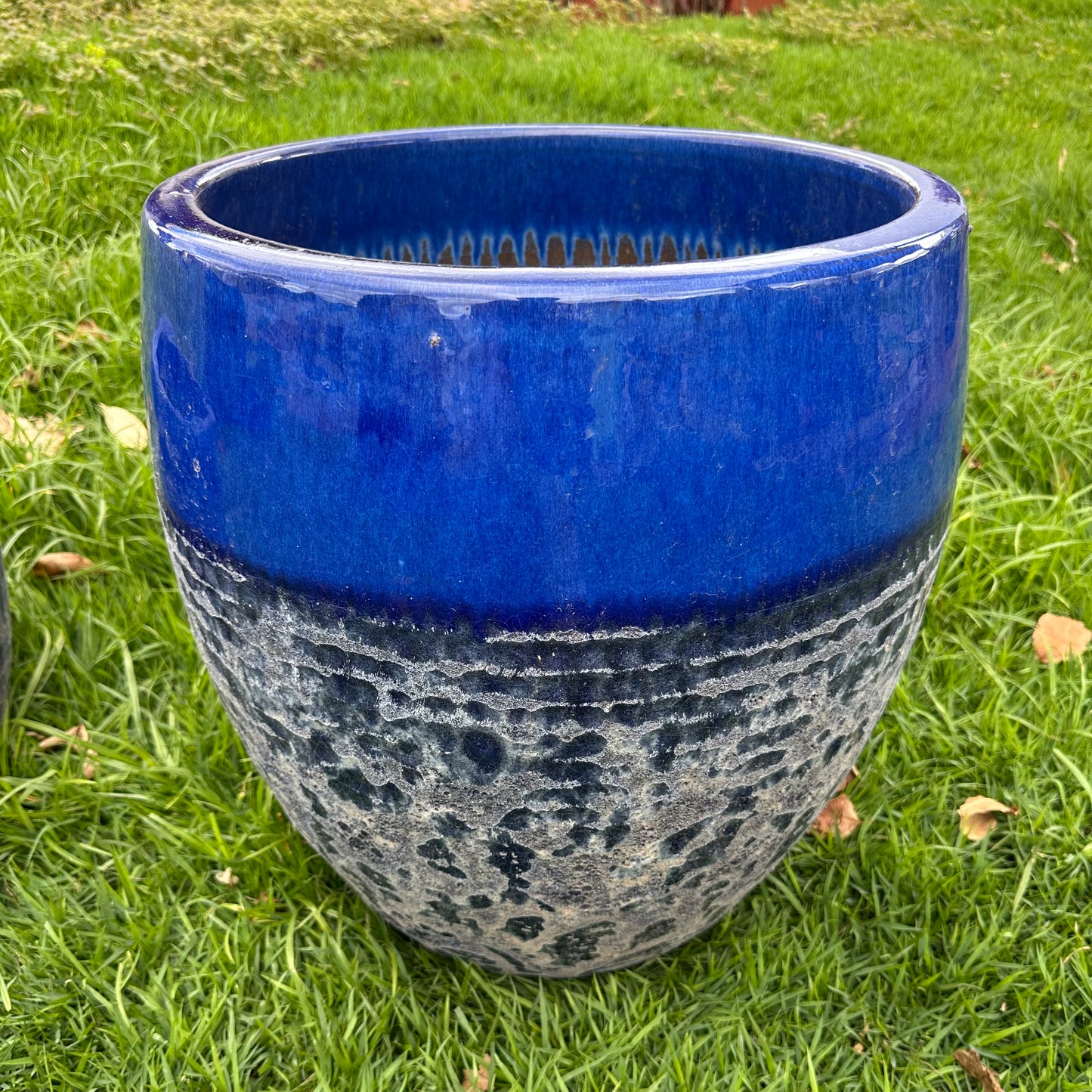 Blue Coral Shelf Ceramic Planter