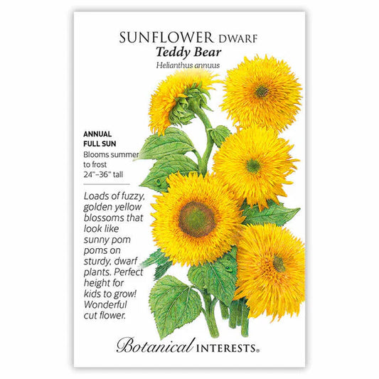 Sunflower seeds, "Dwarf Teddy Bear"