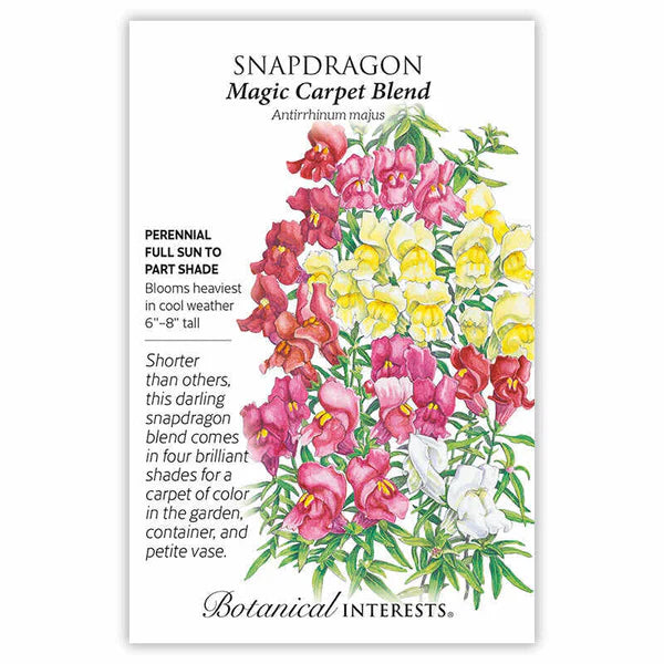 Snapdragon seeds, "Magic Carpet Blend"
