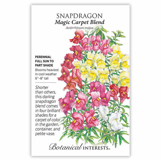 Snapdragon seeds, "Magic Carpet Blend"
