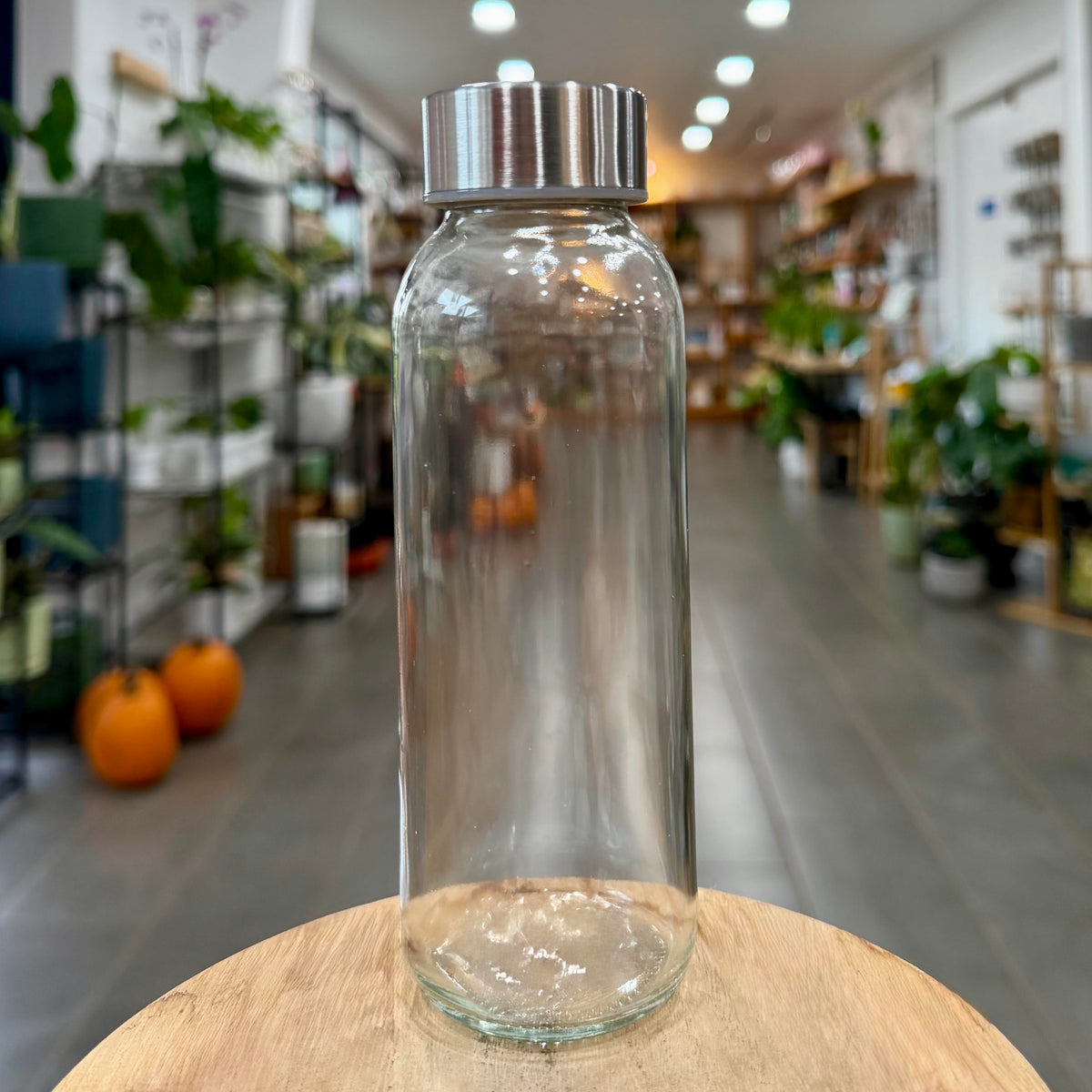Terrarium — Glass with Stainless Lid