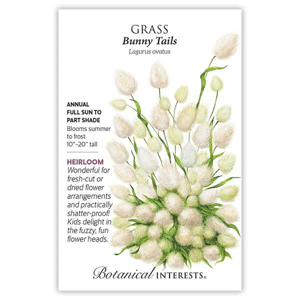 Grass seeds, "Bunny Tails"