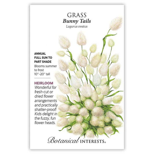Grass seeds, "Bunny Tails"
