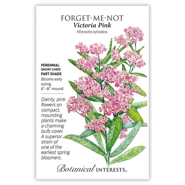 Forget Me Not seeds, "Victoria Pink"