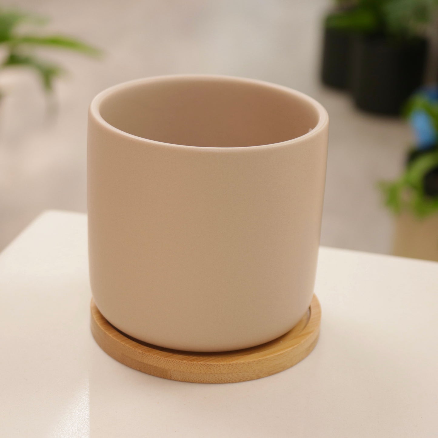 Cylindrical Ceramic Planter with Saucer