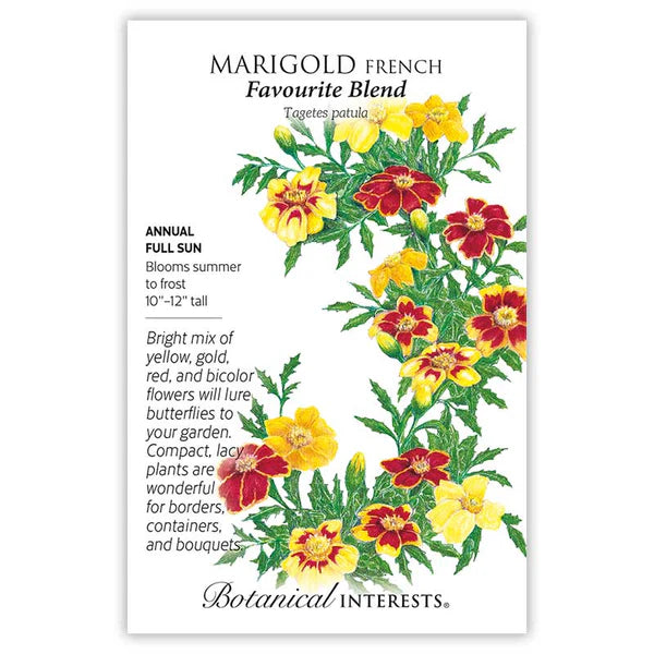 Marigold French seeds, "Favorite Blend"