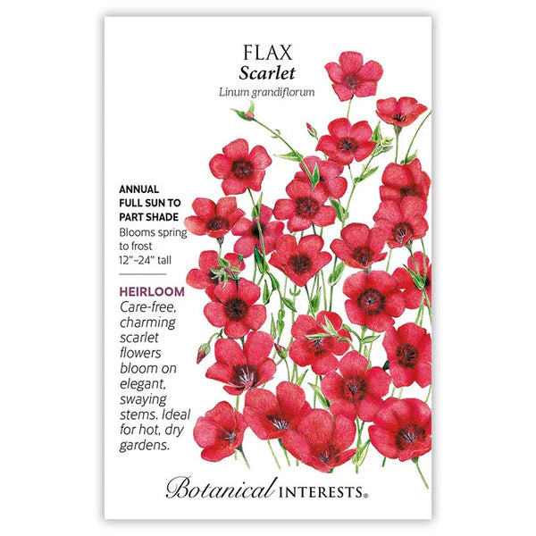 Flax seeds, "Scarlet"