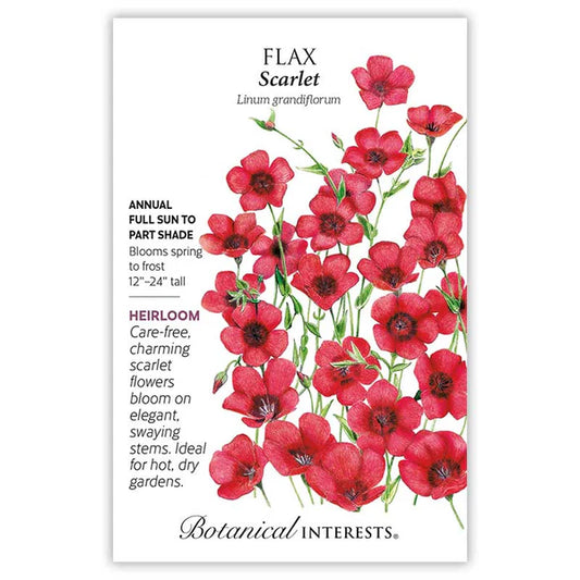 Flax seeds, "Scarlet"
