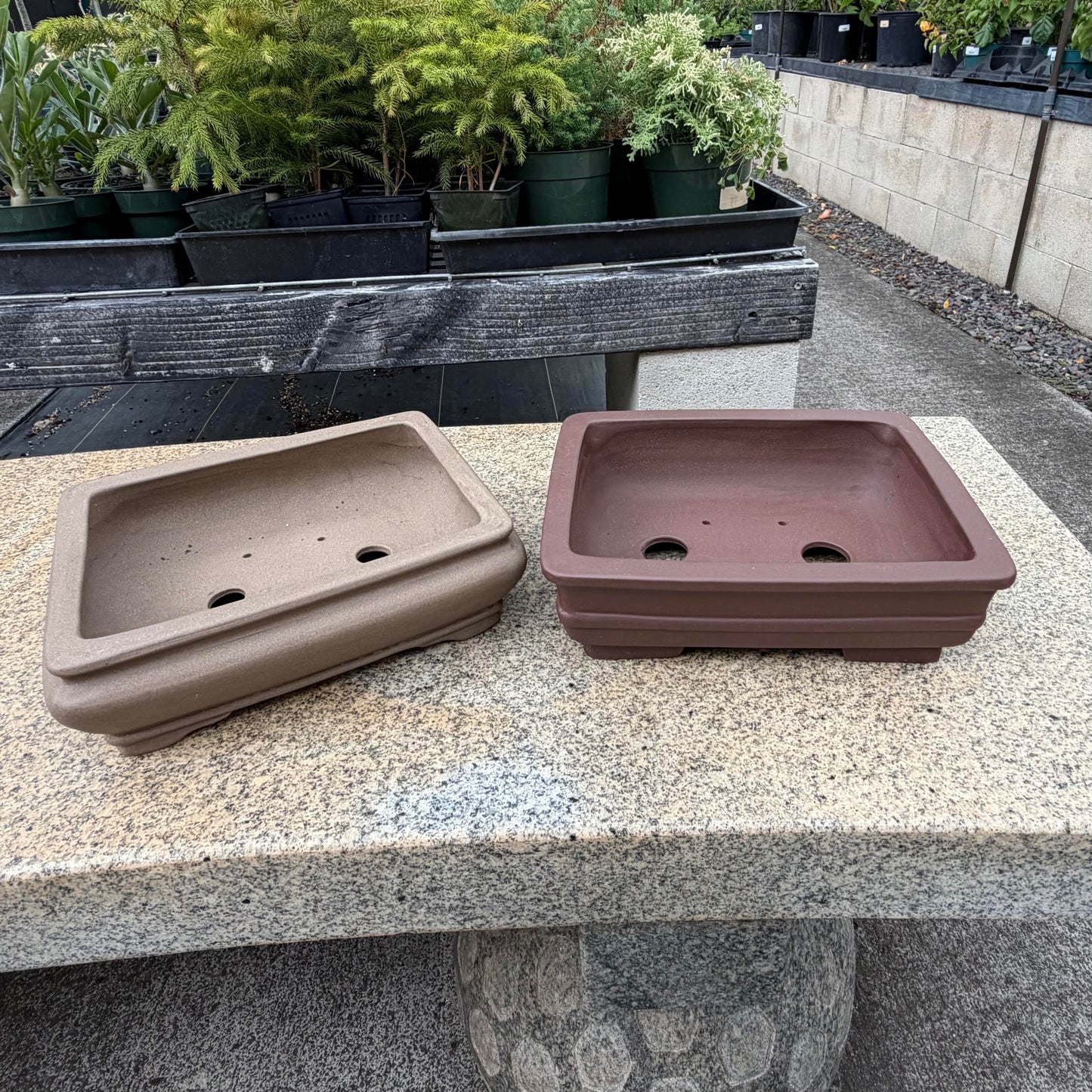 Bonsai - Planter Pots