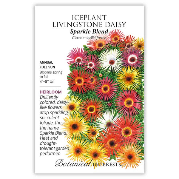 Iceplant Livingstone seeds, "Daisy Sparkle"
