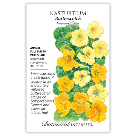 Nasturtium seeds, "Butterscotch"