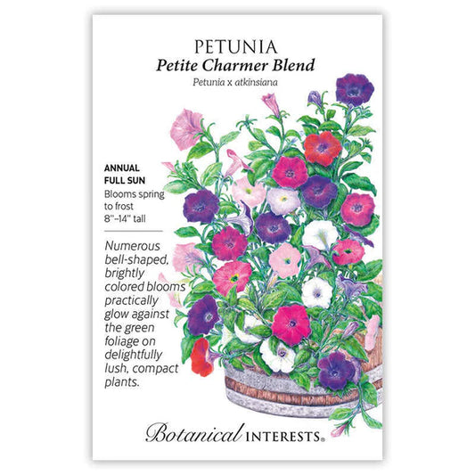Petunia seeds, "Petite Charmer"