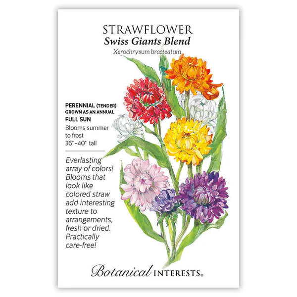 Strawflower seeds, "Swiss Giant Blend"