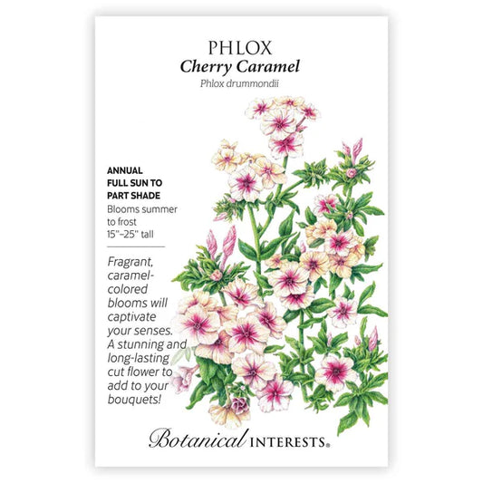 Phlox seeds, "Cherry Caramel"