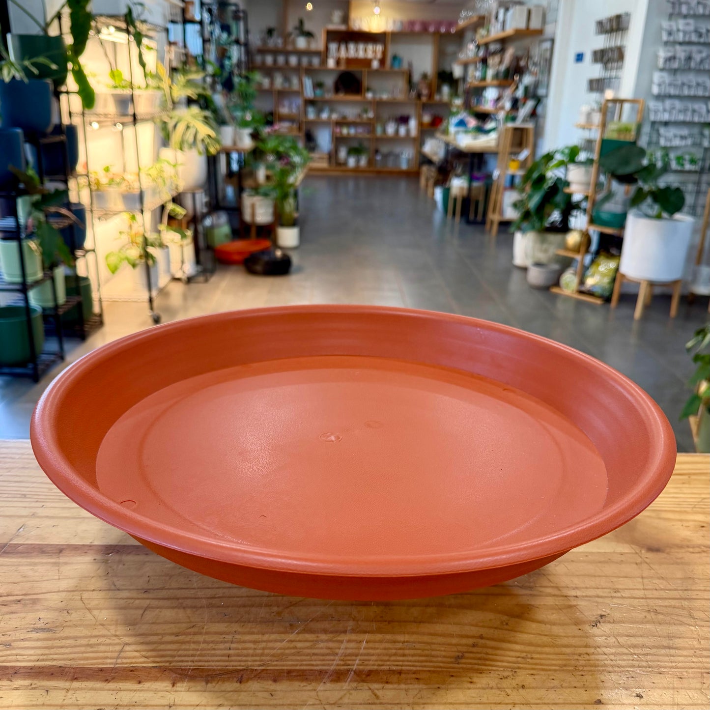 Plastic Saucers/Trays
