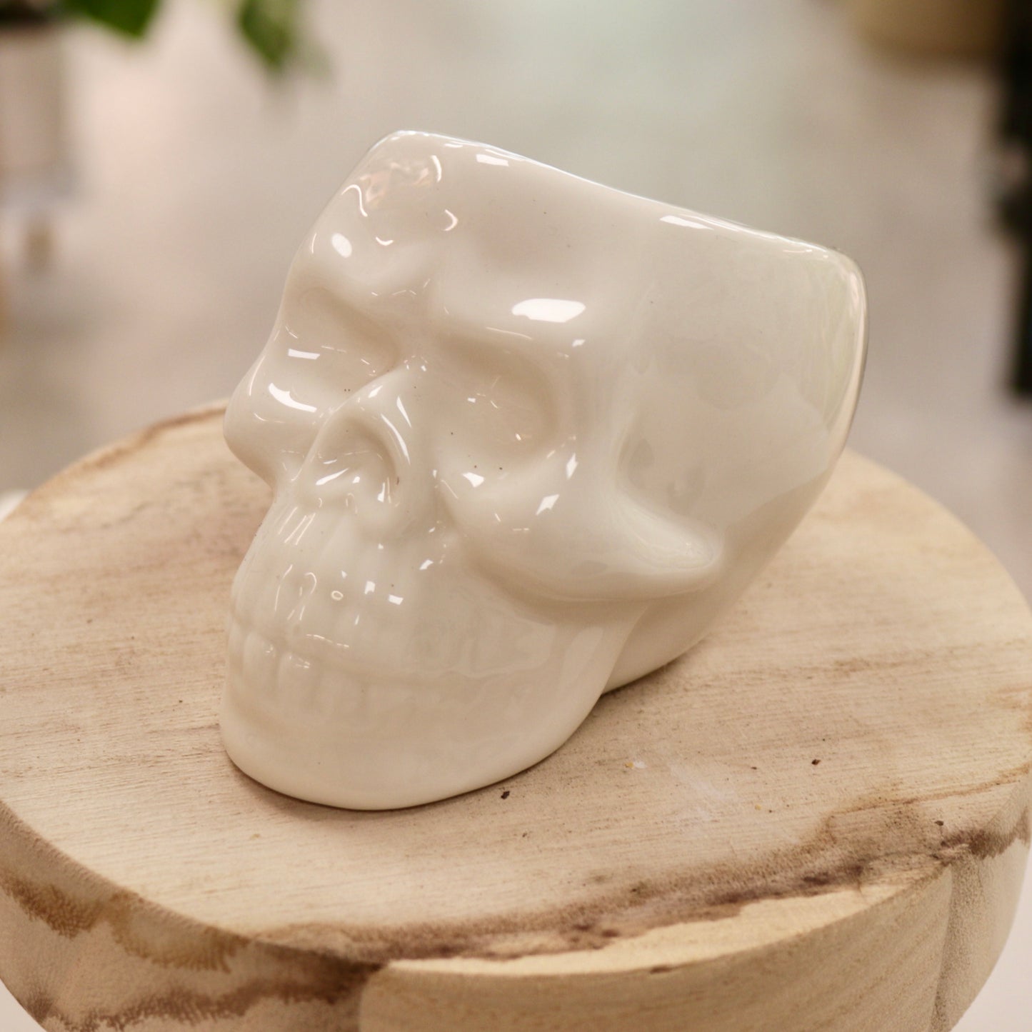 Ceramic Skull Planter