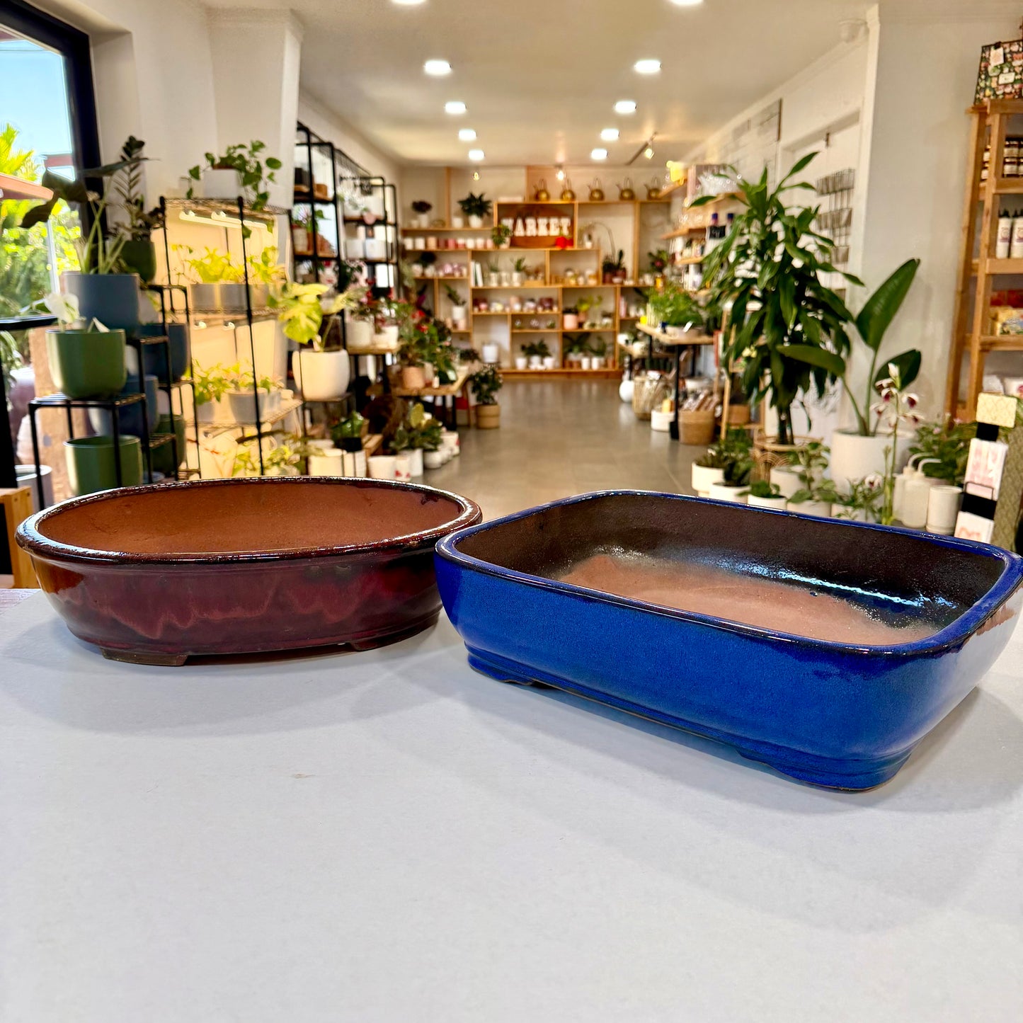 Bonsai Planter Pots
