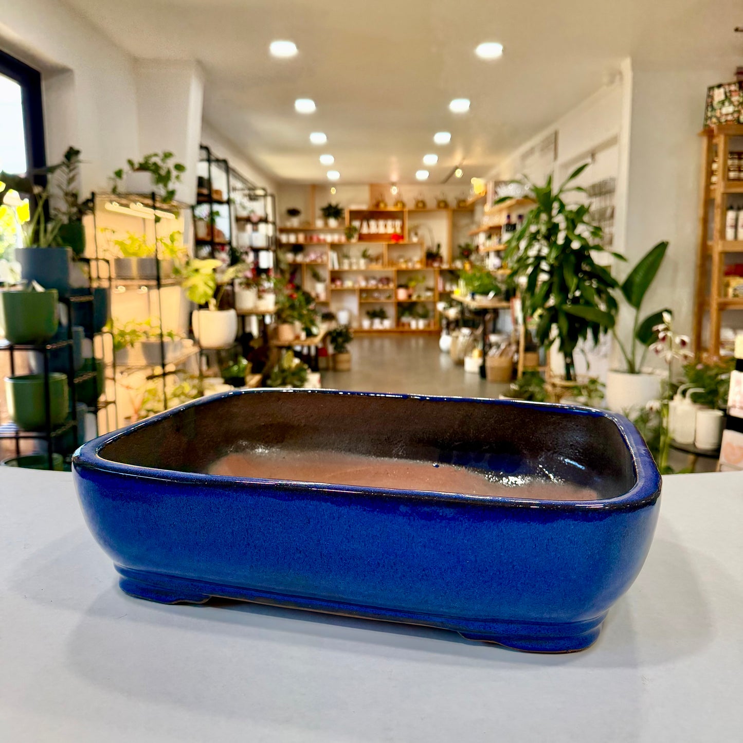 Bonsai Planter Pots