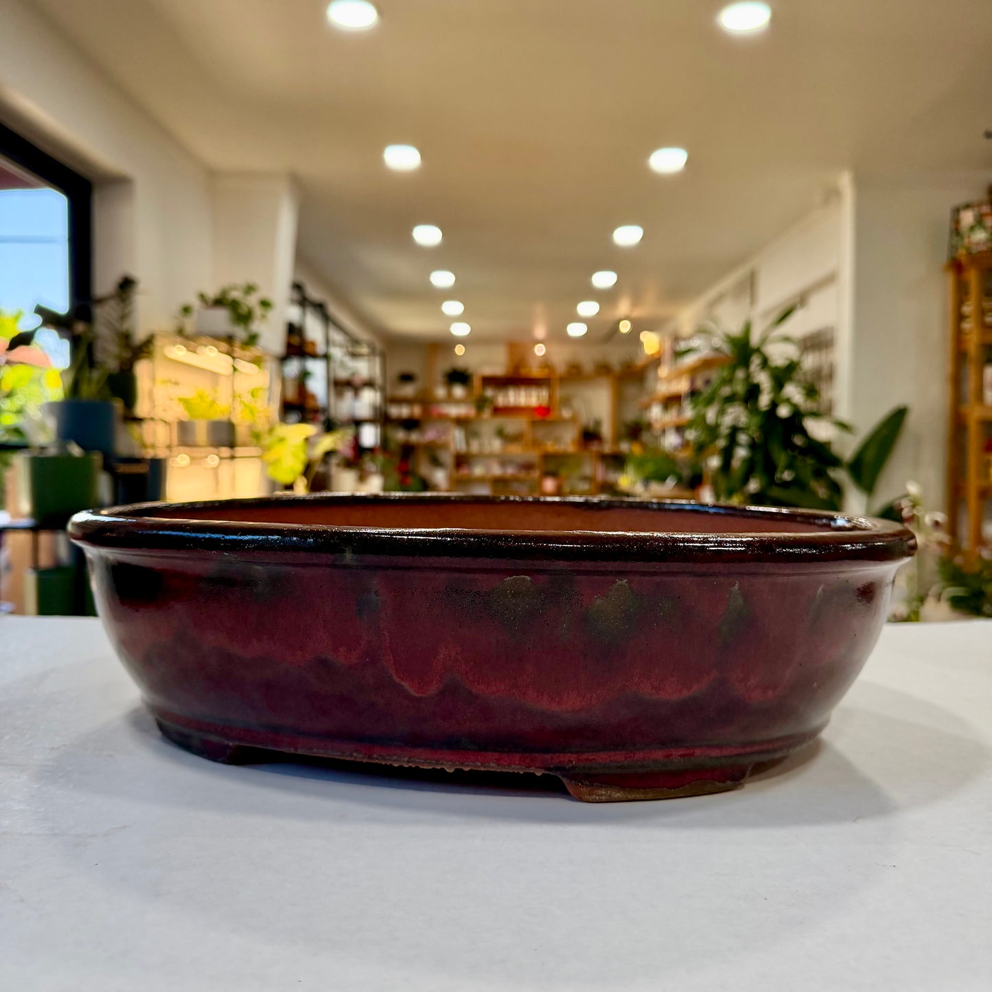 Bonsai Planter Pots