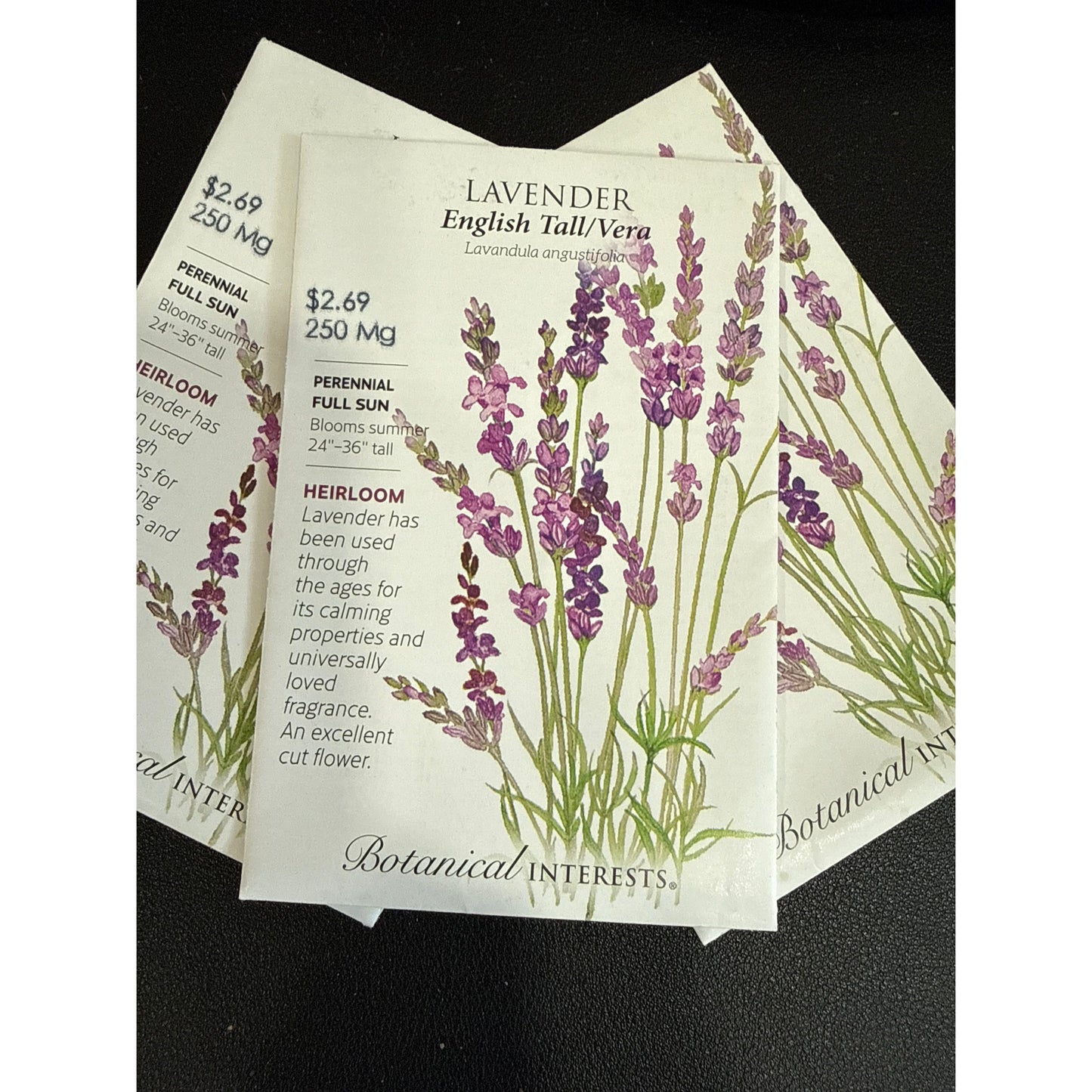 Lavender seeds, "English Tall Vera"