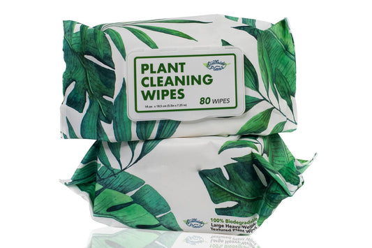 Houseplant Cleaning Wipes