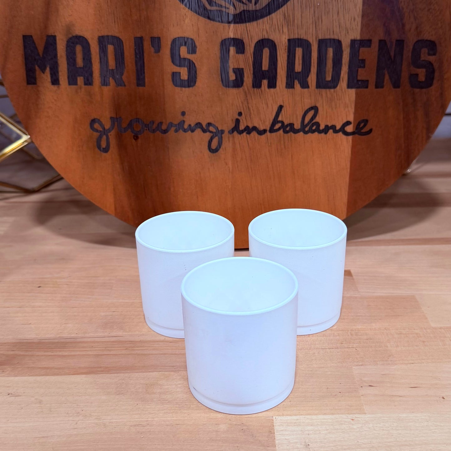 Plastic Planters with Trays