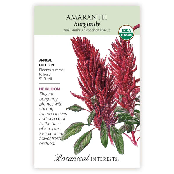 Amaranth seeds, "Burgundy"