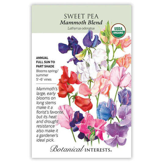 Sweet Pea seeds, "Mammoth"