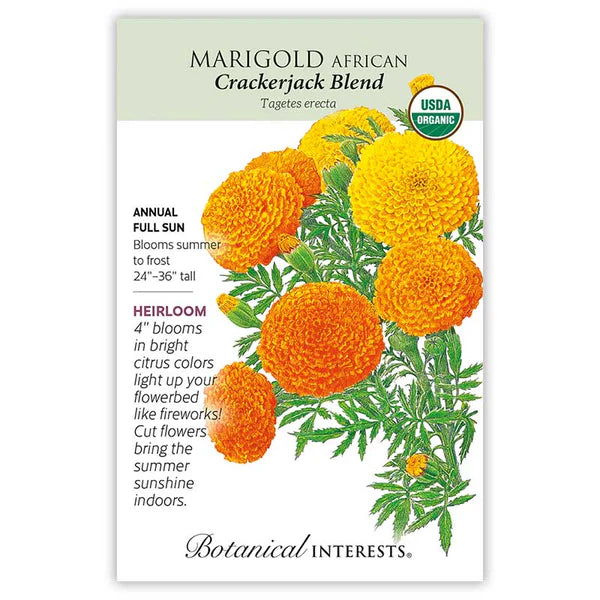 Marigold African seeds, "Crackerjack"