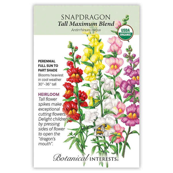 Snapdragon seeds, "Tall Maximum"