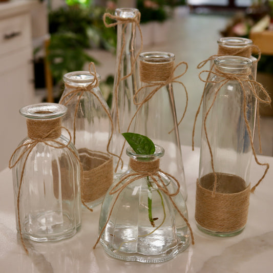 Clear Bud Vases with Woven Tie