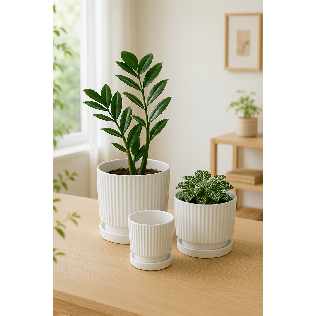 Ribbed White Ceramic Planters with Saucers