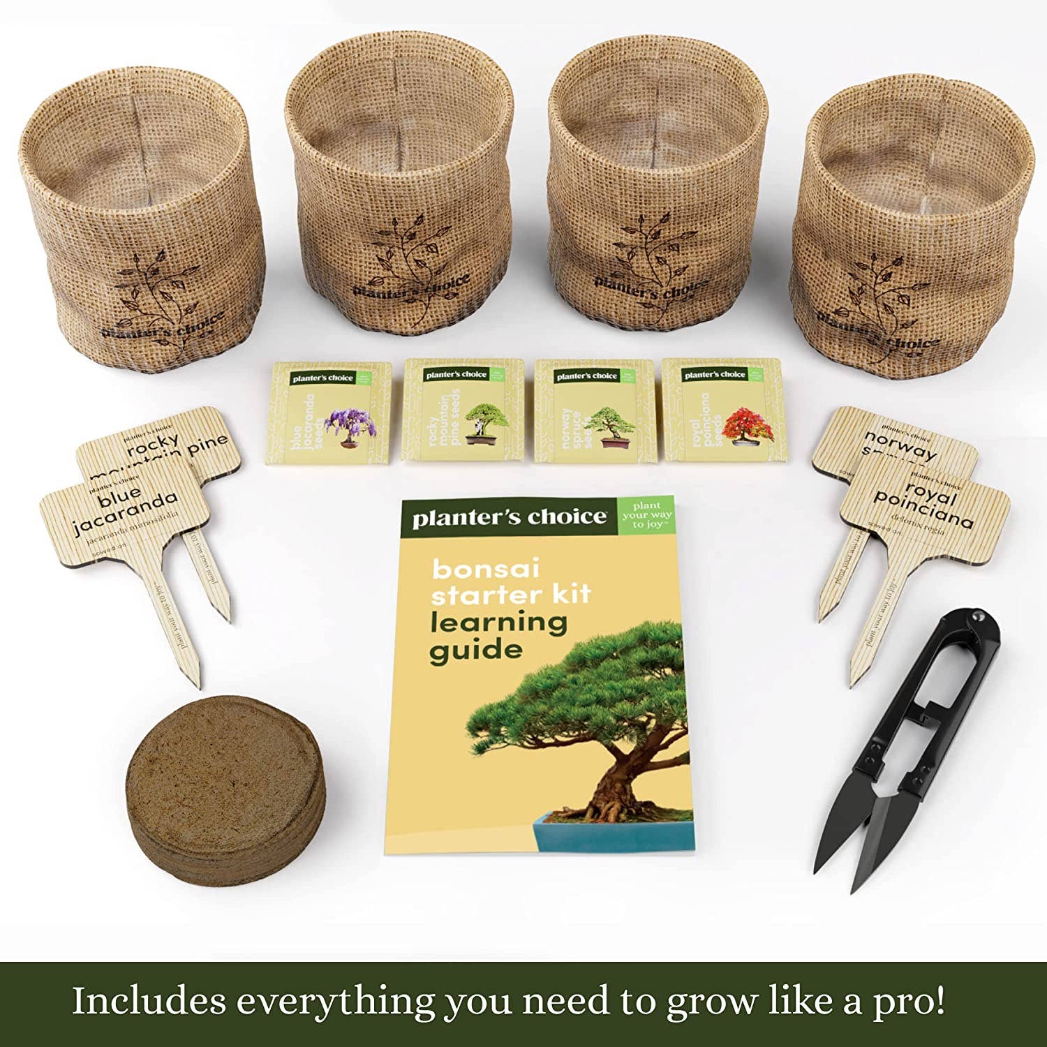bonsai tree kit canada Bonsai