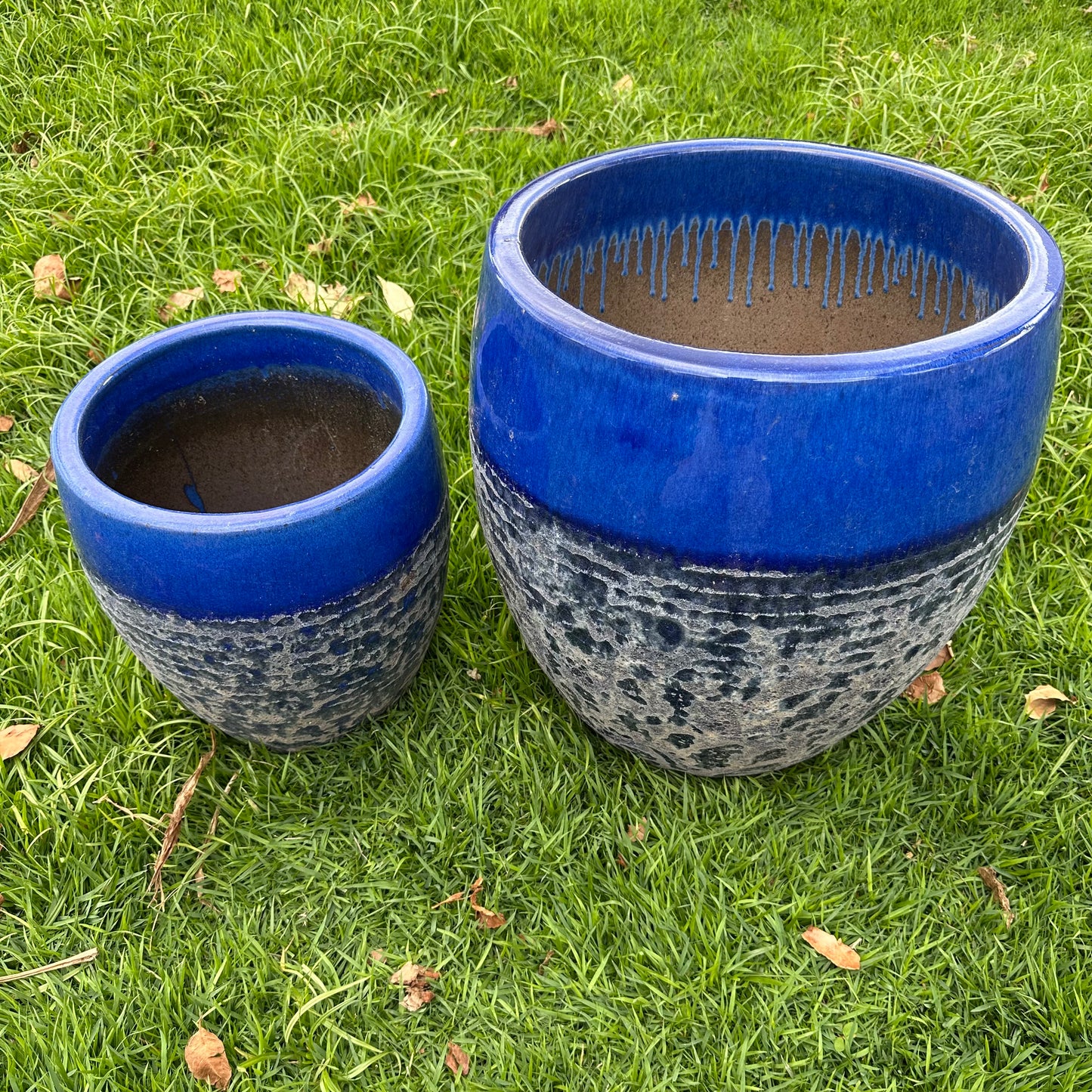 Blue Coral Shelf Ceramic Planter