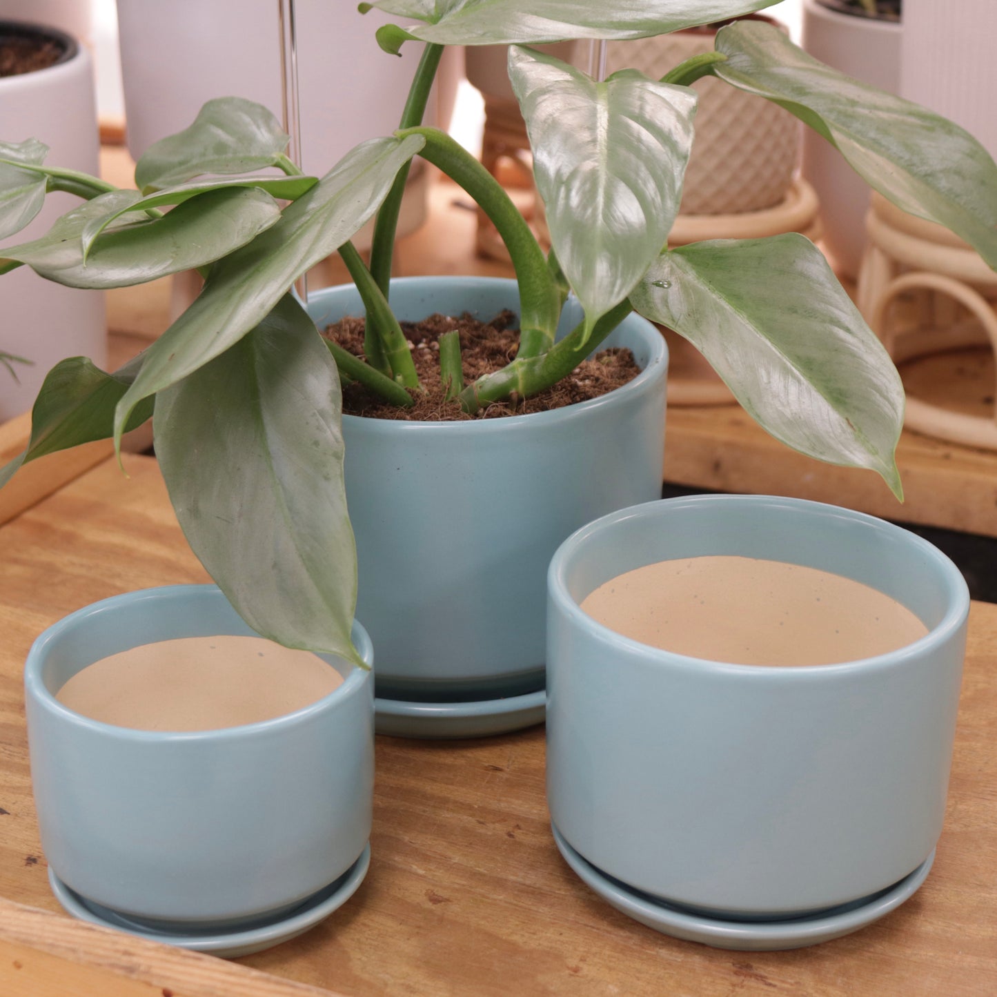 April Ceramic Planter