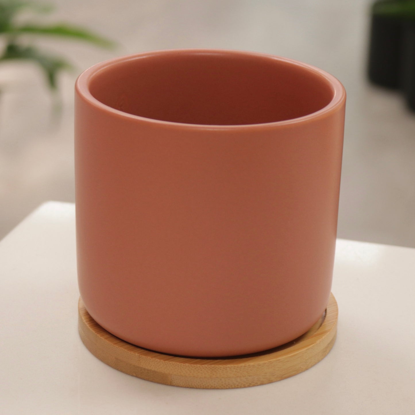 Cylindrical Ceramic Planter with Saucer