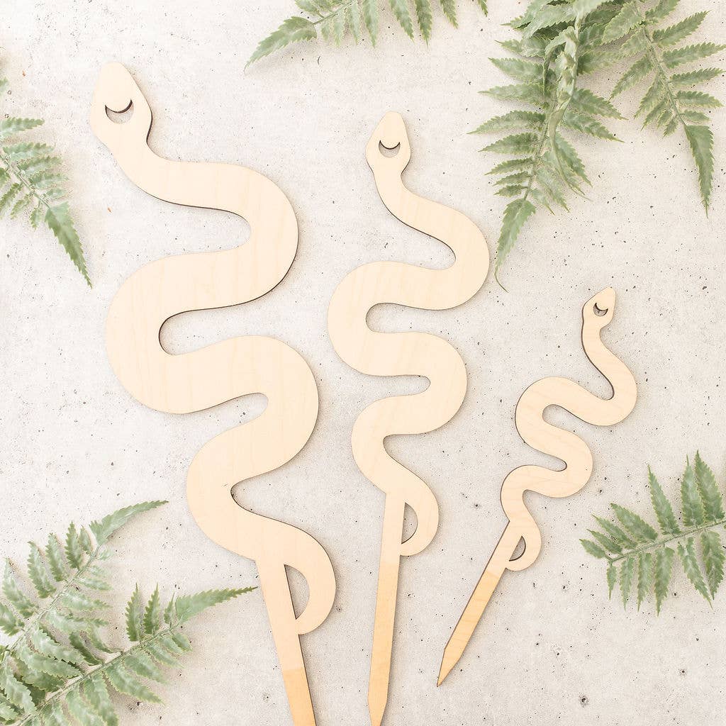Snake Plant Trellis