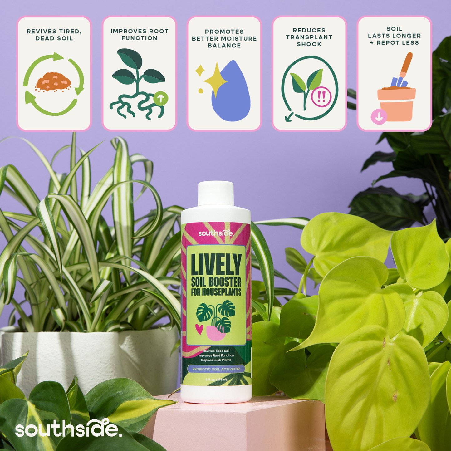 Lively Soil Booster for Houseplants