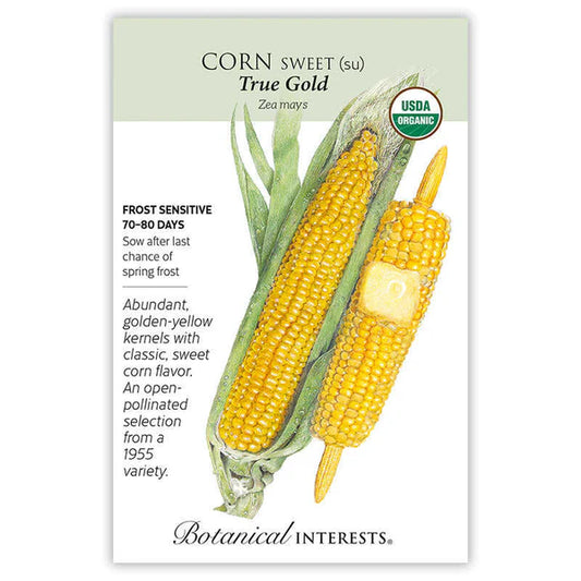 Corn Sweet seeds, "True Gold"