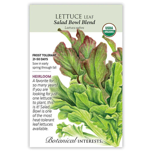 Lettuce Leaf seeds, "Salad Bowl"