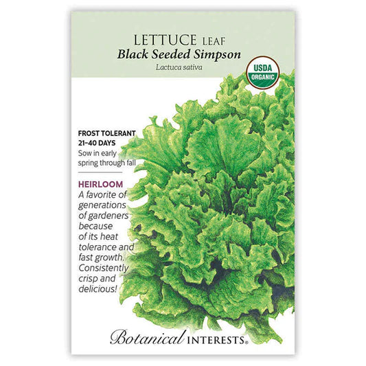 Lettuce Leaf seeds, "Black Simpson"
