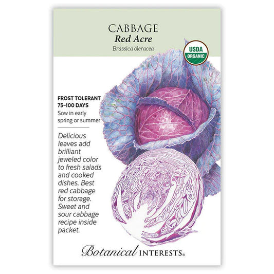 Cabbage seeds, "Red Acre"