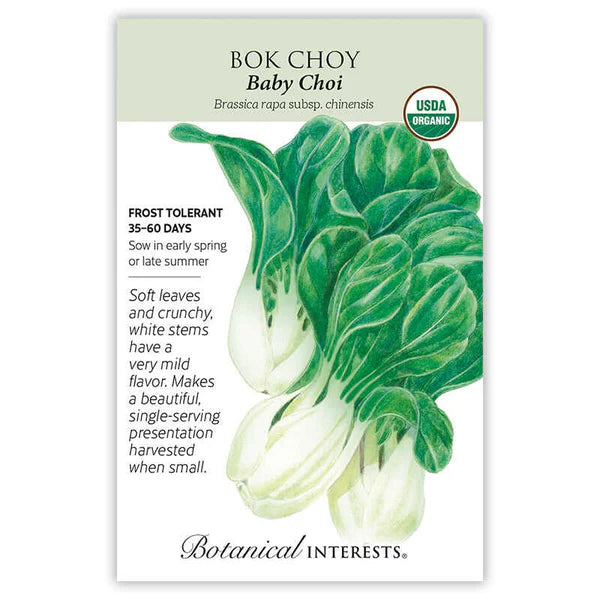 Bok Choy seeds, "Baby Choi"