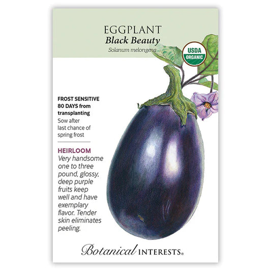 Eggplant seeds, "Black Beauty"