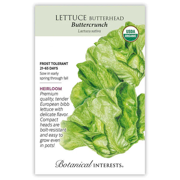 Lettuce seeds, "Butterhead Butter Crunch"