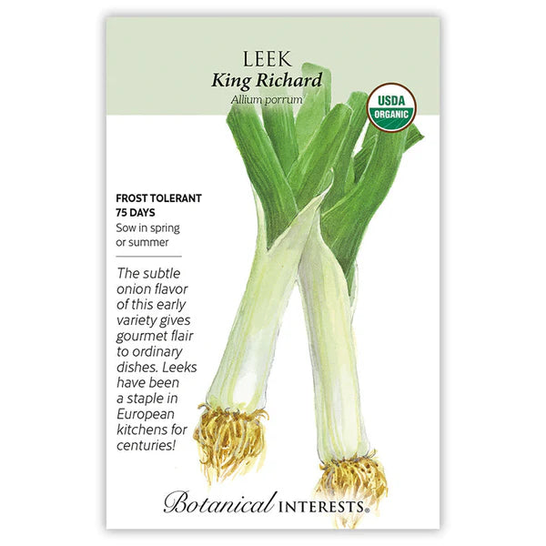 Leek seeds, "King Richard"