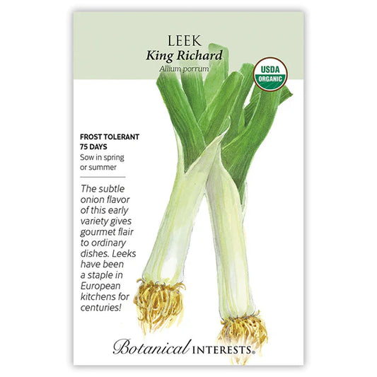Leek seeds, "King Richard"
