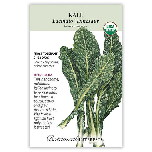 Kale seeds, "Italian Lacicato Dinosaur"
