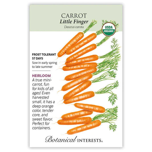 Carrot seeds, "Little Finger"